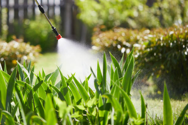 24/7 Emergency Mosquito Control experts in Carmel, IN